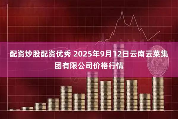 配资炒股配资优秀 2025年9月12日云南云菜集团有限公司价格行情