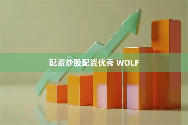 配资炒股配资优秀 WOLF