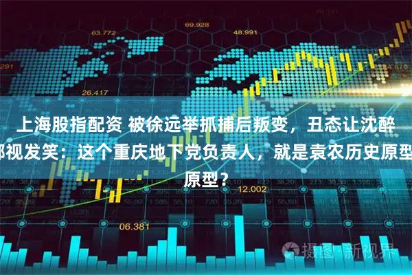 上海股指配资 被徐远举抓捕后叛变,丑态让沈醉鄙视发笑:这个重庆地下党负责人,就是袁农历史原型?