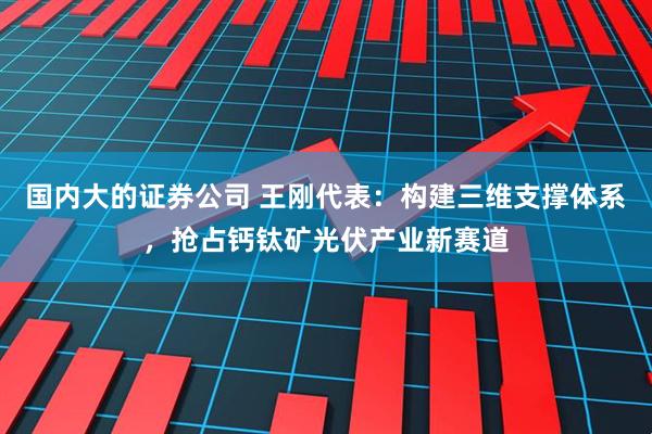 国内大的证券公司 王刚代表：构建三维支撑体系，抢占钙钛矿光伏产业新赛道